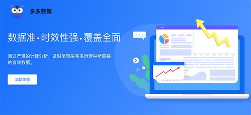 多多数聚、多多情报通与多多参谋 江西企业如何选择最适合的软件开发工具？