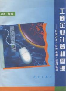 工商企业计算机管理软件开发技术与实践——以江西企业为例